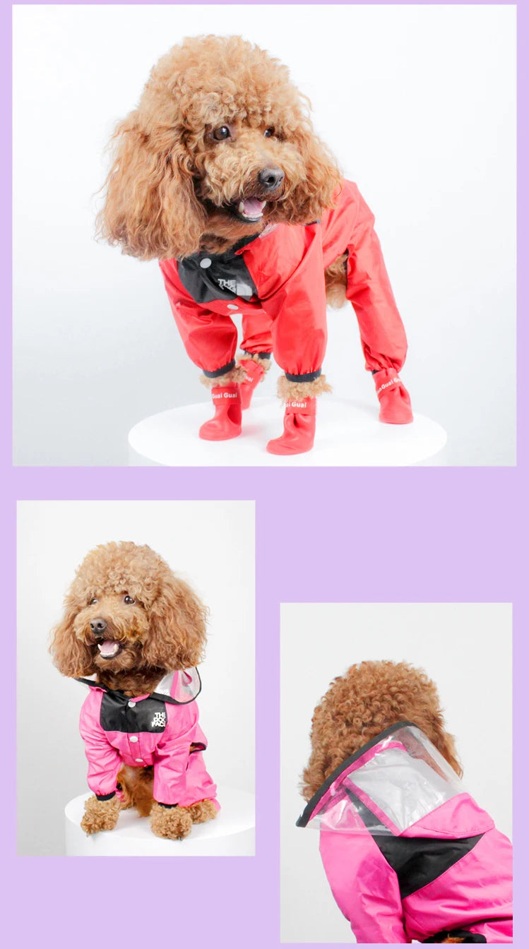 Personalized Pet Raincoat – Paw Chic Edition
