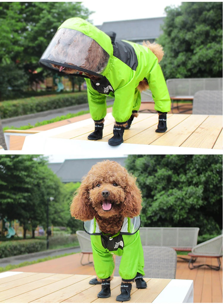 Personalized Pet Raincoat – Paw Chic Edition
