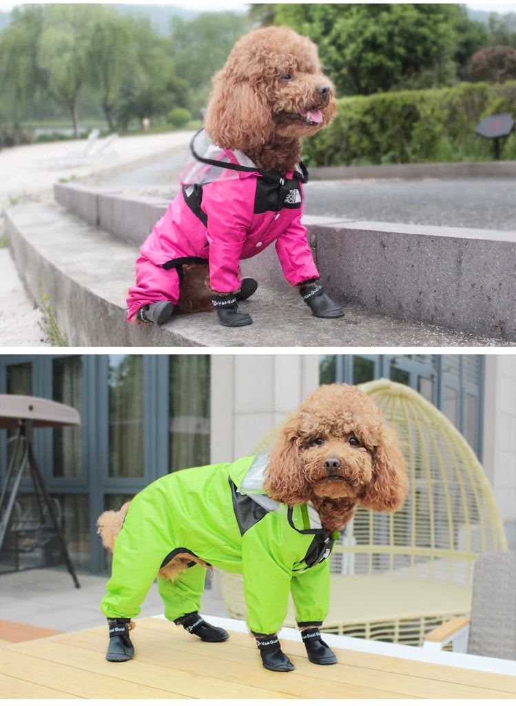 Personalized Pet Raincoat – Paw Chic Edition