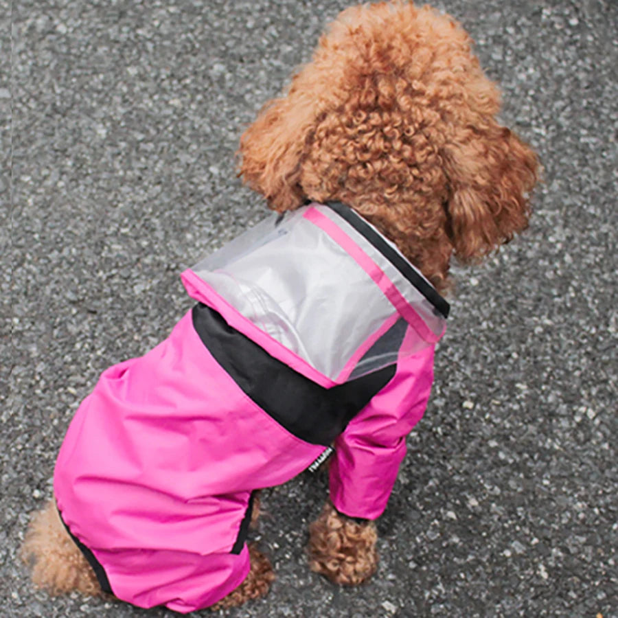 Personalized Pet Raincoat – Paw Chic Edition