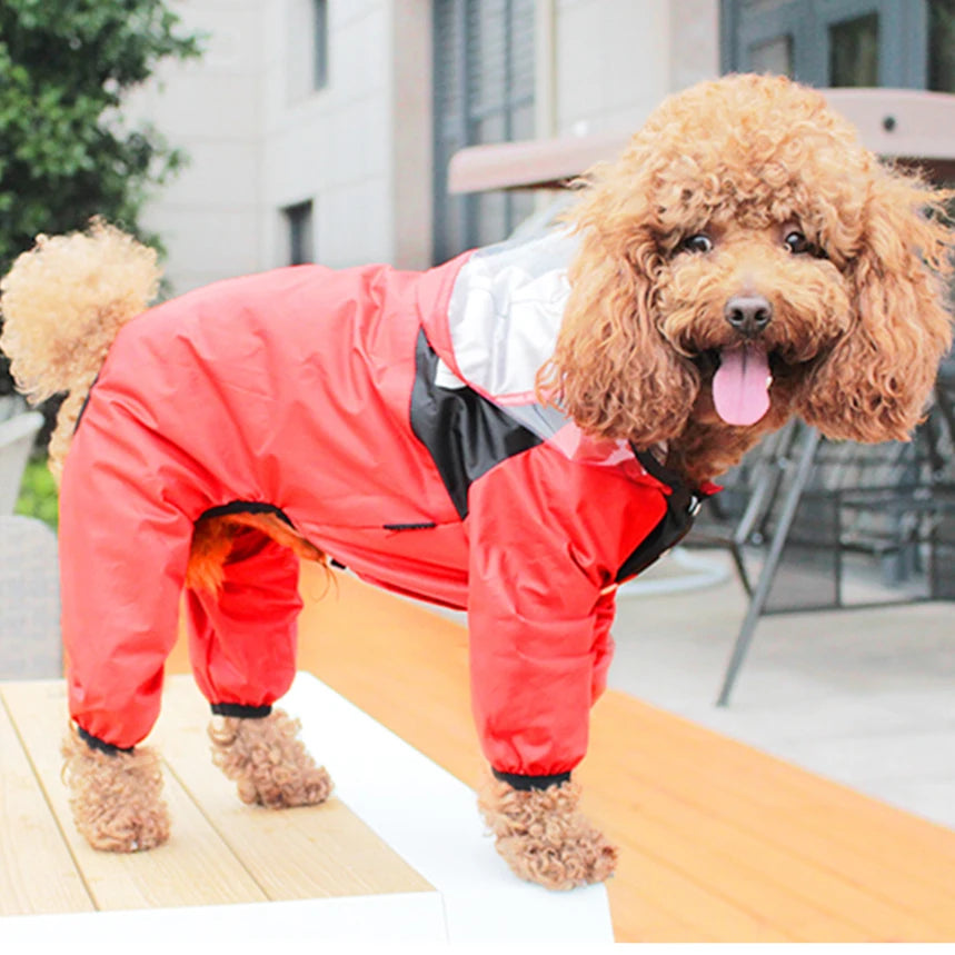 Personalized Pet Raincoat – Paw Chic Edition